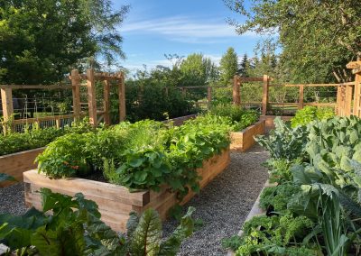 Webster veg garden