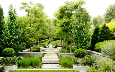 2014 APPQ 1ST PRIZE & MILAN HAVLIN PRIZE, “PRESTIGIOUS LANDSCAPES”